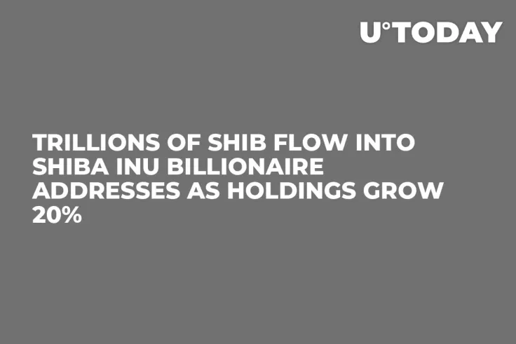 Trillions of SHIB Flow into Shiba Inu Billionaire Addresses as Holdings Grow 20%