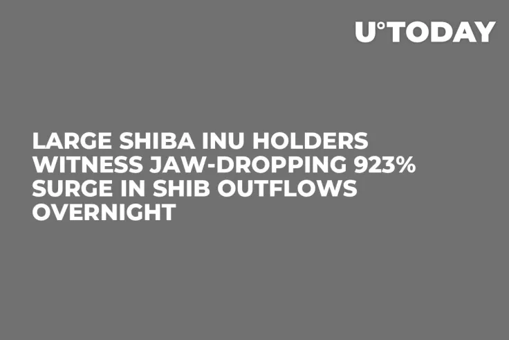 Large Shiba Inu Holders Witness Jaw-Dropping 923% Surge in SHIB Outflows Overnight