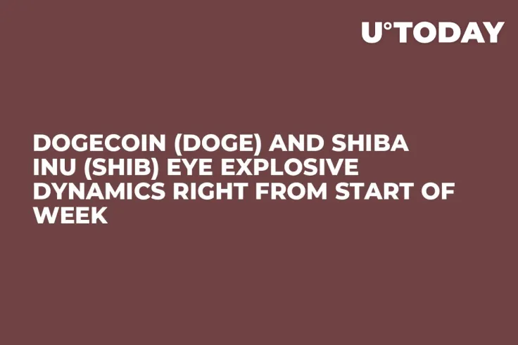 Dogecoin (DOGE) and Shiba Inu (SHIB) Eye Explosive Dynamics Right From Start of Week