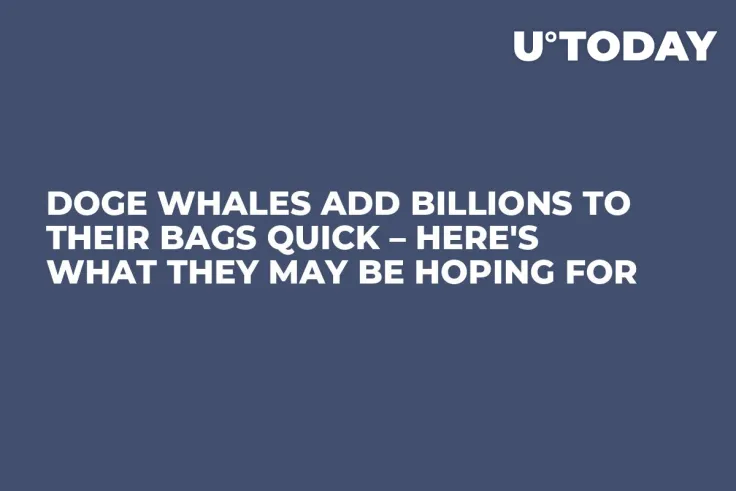 DOGE Whales Add Billions to Their Bags Quick – Here's What They May Be Hoping For