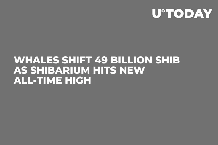 Whales Shift 49 Billion SHIB as Shibarium Hits New All-Time High
