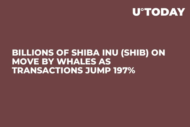 Billions of Shiba Inu (SHIB) on Move by Whales as Transactions Jump 197%