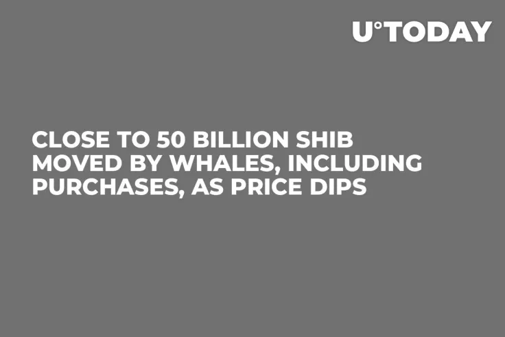 Close to 50 Billion SHIB Moved by Whales, Including Purchases, As Price Dips