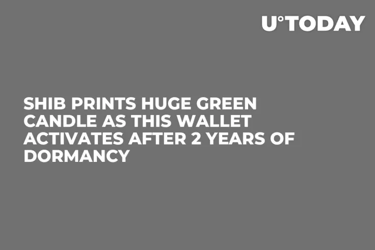 SHIB Prints Huge Green Candle as This Wallet Activates After 2 Years of Dormancy