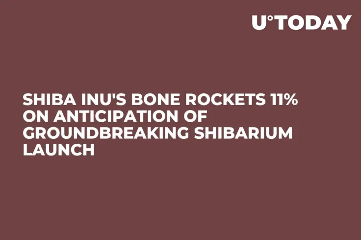 Shiba Inu's BONE Rockets 11% on Anticipation of Groundbreaking Shibarium Launch