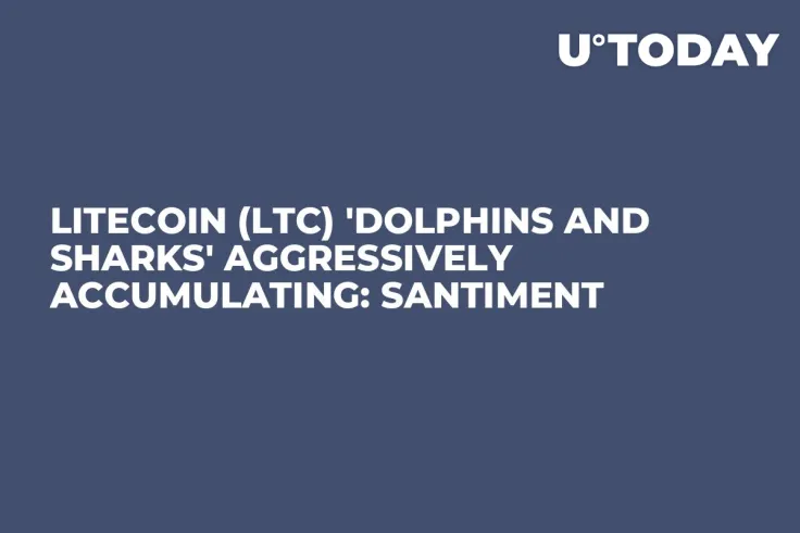 Litecoin (LTC) 'Dolphins and Sharks' Aggressively Accumulating: Santiment