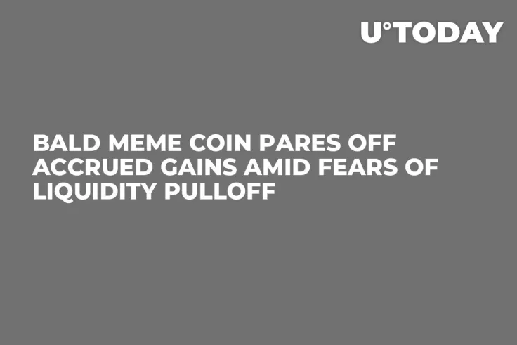 BALD Meme Coin Pares Off Accrued Gains Amid Fears of Liquidity Pulloff
