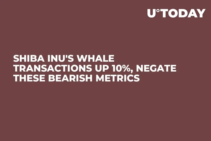 Shiba Inu's Whale Transactions up 10%, Negate These Bearish Metrics