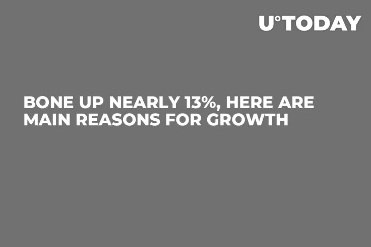 BONE up Nearly 13%, Here Are Main Reasons for Growth