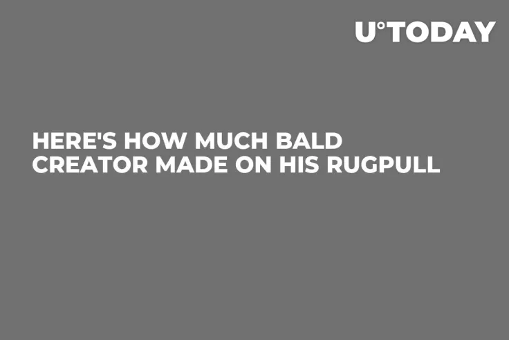 Here's How Much BALD Creator Made on His Rugpull
