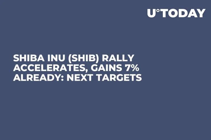 Shiba Inu (SHIB) Rally Accelerates, Gains 7% Already: Next Targets