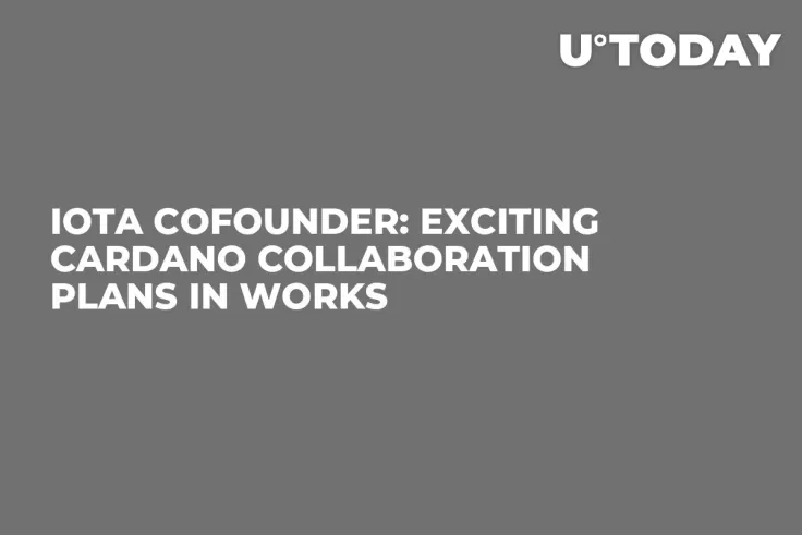 IOTA Cofounder: Exciting Cardano Collaboration Plans in Works