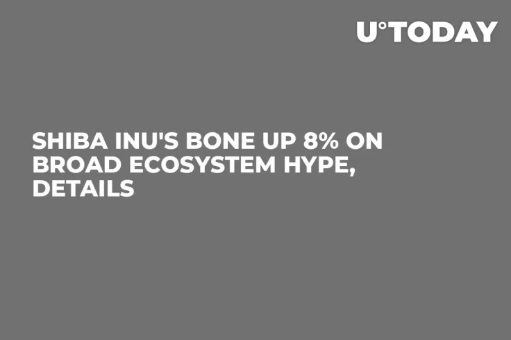 Shiba Inu's BONE Up 8% on Broad Ecosystem Hype, Details