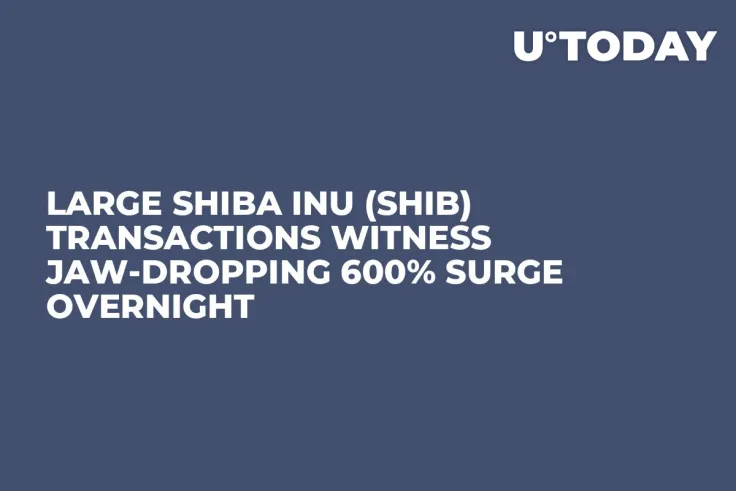 Large Shiba Inu (SHIB) Transactions Witness Jaw-Dropping 600% Surge Overnight