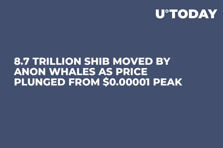 8.7 Trillion SHIB Moved by Anon Whales as Price Plunged From $0.00001 Peak