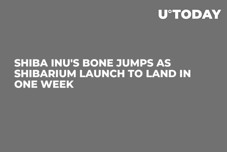 Shiba Inu's BONE Jumps as Shibarium Launch to Land in One Week