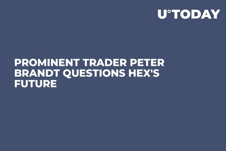 Prominent Trader Peter Brandt Questions HEX's Future