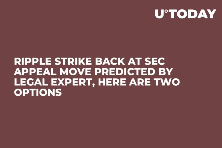 Ripple Strike Back at SEC Appeal Move Predicted by Legal Expert, Here Are Two Options