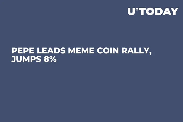PEPE Leads Meme Coin Rally, Jumps 8%