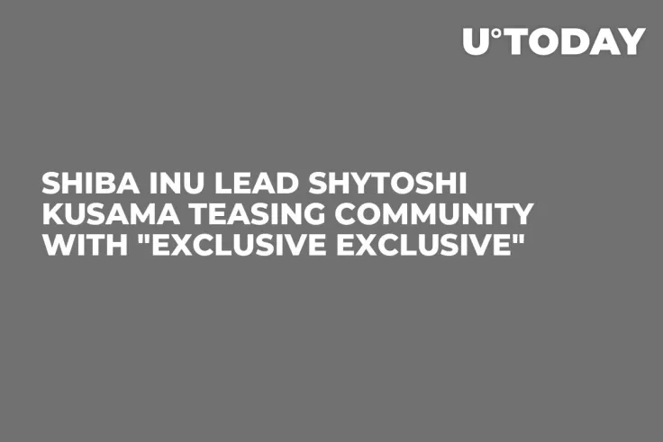 Shiba Inu Lead Shytoshi Kusama Teasing Community with "Exclusive Exclusive"