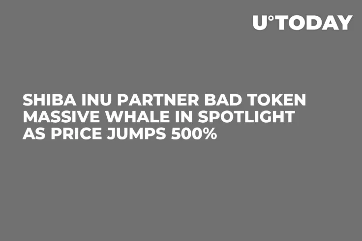 Shiba Inu Partner BAD Token Massive Whale in Spotlight as Price Jumps 500%
