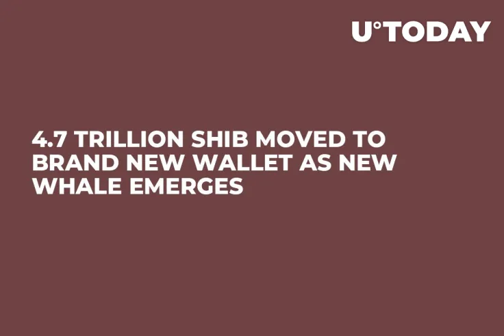 4.7 Trillion SHIB Moved to Brand New Wallet as New Whale Emerges