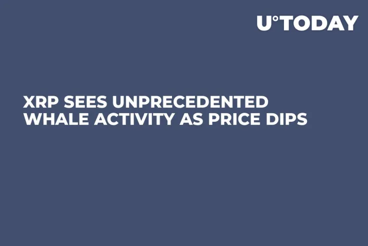 XRP Sees Unprecedented Whale Activity as Price Dips