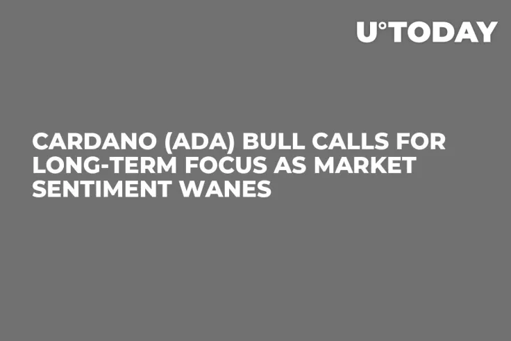 Cardano (ADA) Bull Calls for Long-Term Focus as Market Sentiment Wanes