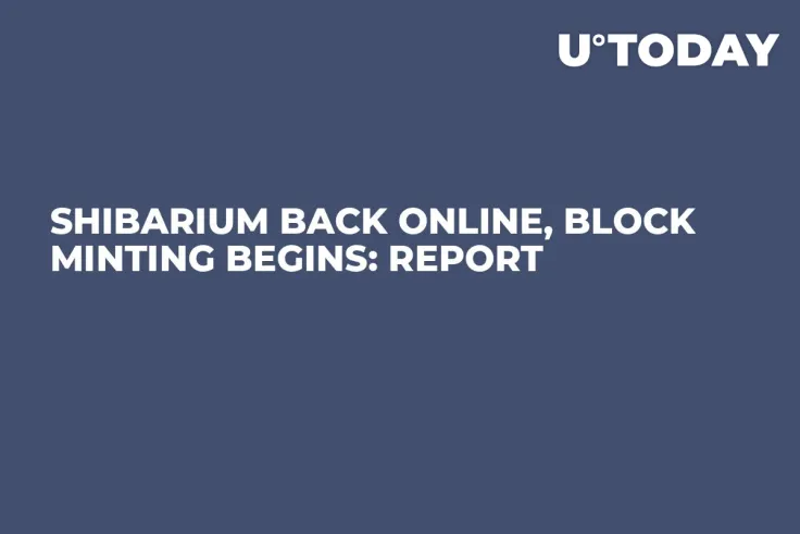 Shibarium Back Online, Block Minting Begins: Report