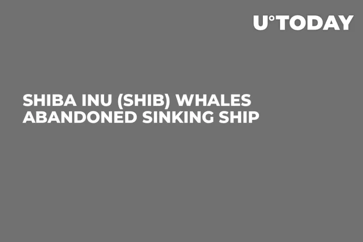 Shiba Inu (SHIB) Whales Abandoned Sinking Ship