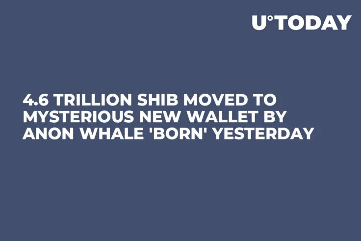 4.6 Trillion SHIB Moved to Mysterious New Wallet by Anon Whale 'Born' Yesterday