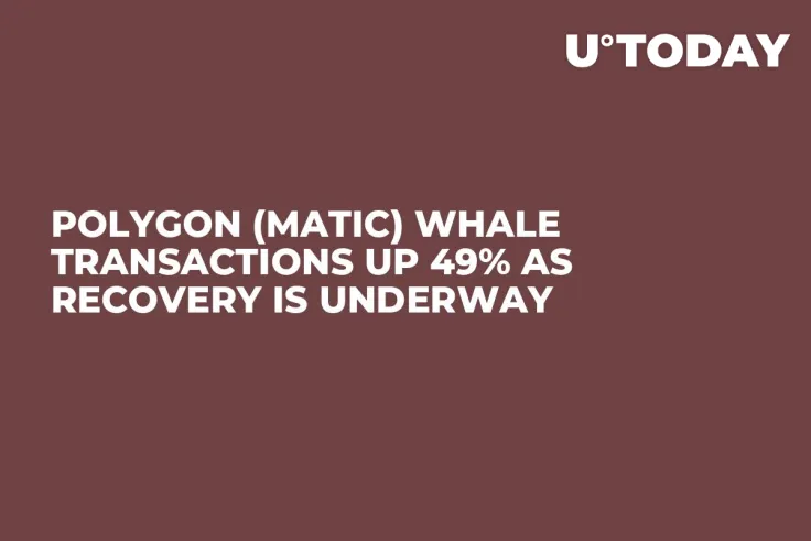 Polygon (MATIC) Whale Transactions up 49% as Recovery Is Underway