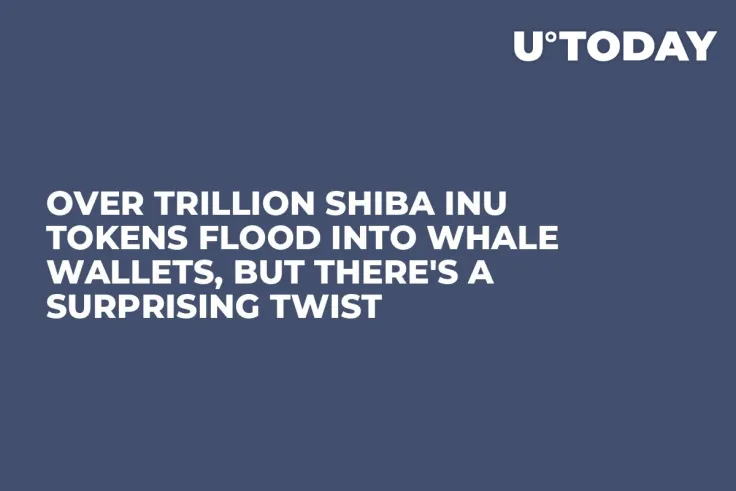 Over Trillion Shiba Inu Tokens Flood into Whale Wallets, But There's a Surprising Twist