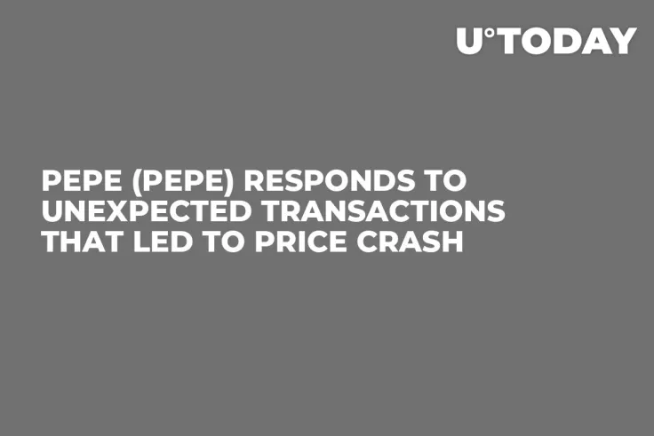Pepe (PEPE) Responds to Unexpected Transactions That Led to Price Crash