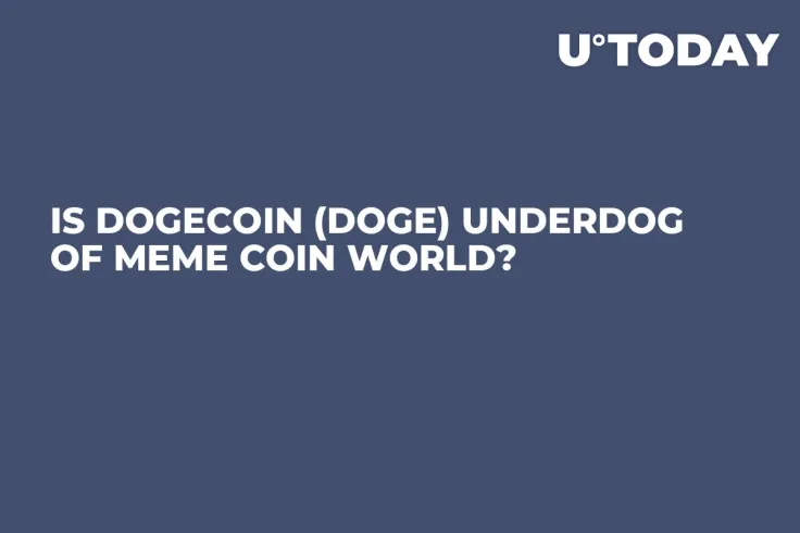 Is Dogecoin (DOGE) Underdog of Meme Coin World?