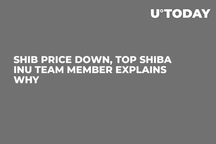 SHIB Price Down, Top Shiba Inu Team Member Explains Why