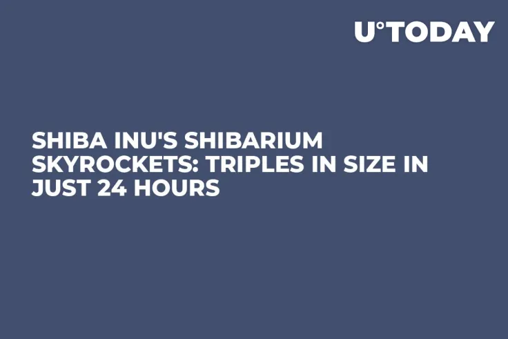 Shiba Inu's Shibarium Skyrockets: Triples in Size in Just 24 Hours