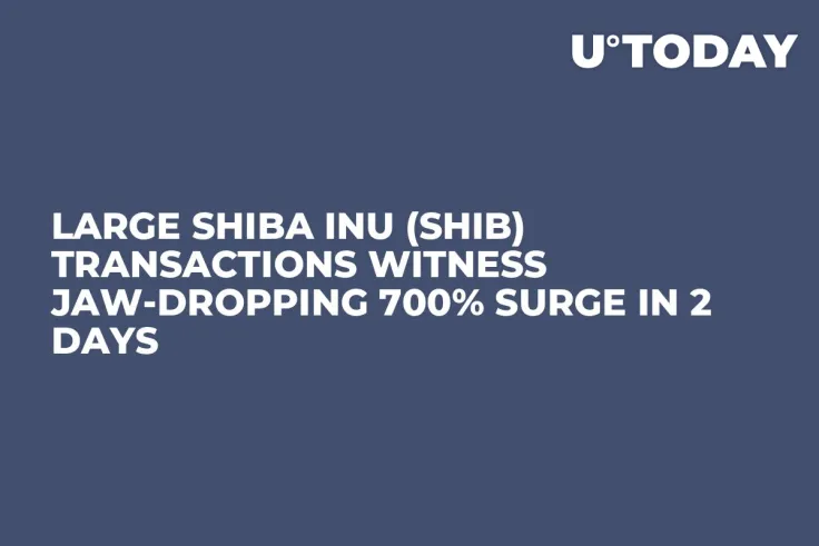 Large Shiba Inu (SHIB) Transactions Witness Jaw-Dropping 700% Surge in 2 Days