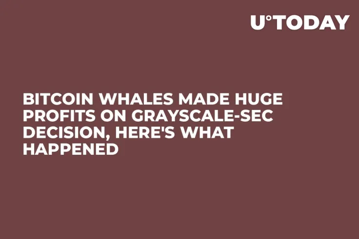 Bitcoin Whales Made Huge Profits on Grayscale-SEC Decision, Here's What Happened