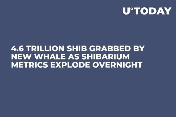 4.6 Trillion SHIB Grabbed by New Whale as Shibarium Metrics Explode Overnight