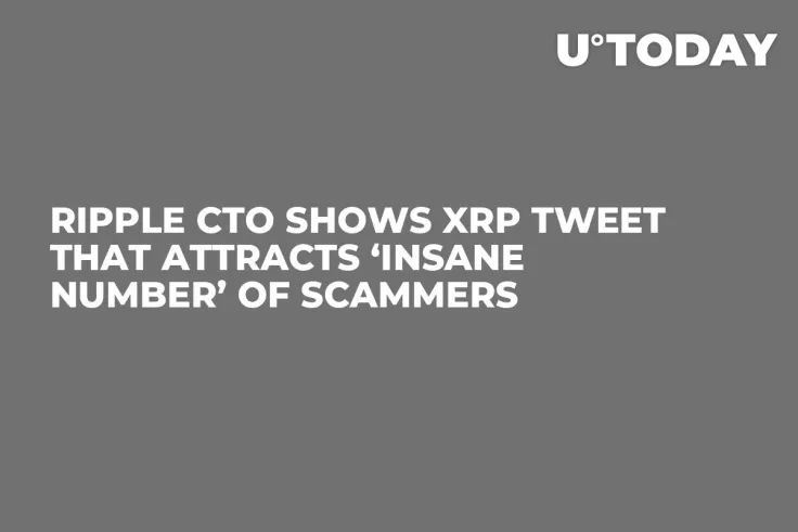 Ripple CTO Shows XRP Tweet That Attracts ‘Insane Number’ of Scammers