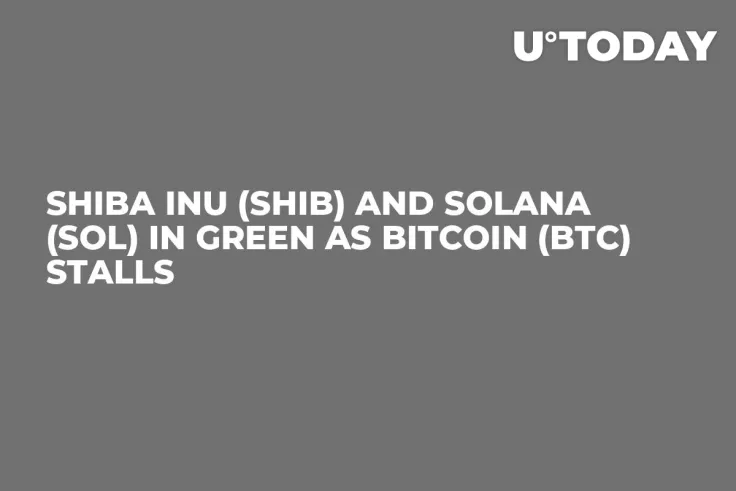 Shiba Inu (SHIB) and Solana (SOL) in Green as Bitcoin (BTC) Stalls