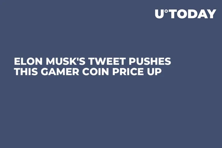 Elon Musk's Tweet Pushes This Gamer Coin Price Up 