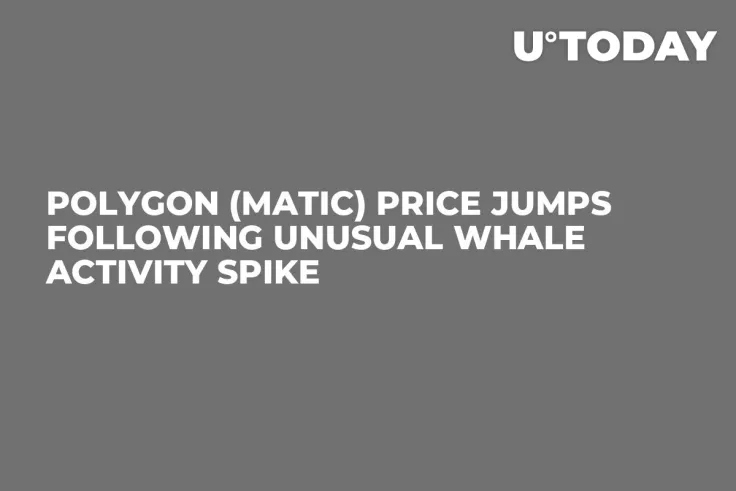 Polygon (MATIC) Price Jumps Following Unusual Whale Activity Spike