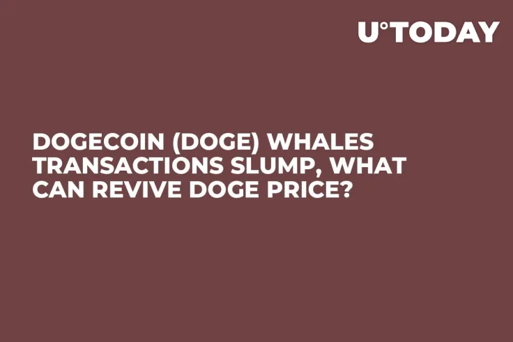Dogecoin (DOGE) Whales Transactions Slump, What Can Revive DOGE Price?