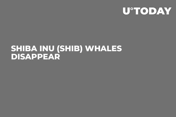 Shiba Inu (SHIB) Whales Disappear