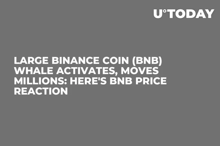 Large Binance Coin (BNB) Whale Activates, Moves Millions: Here's BNB Price Reaction