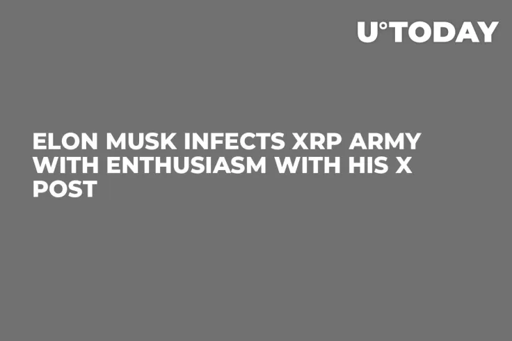 Elon Musk Infects XRP Army With Enthusiasm With His X Post