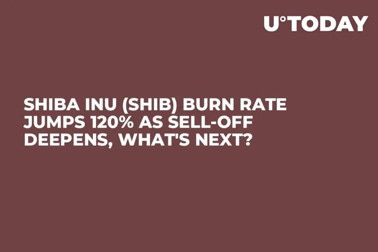 Shiba Inu (SHIB) Burn Rate Jumps 120% as Sell-off Deepens, What's Next?