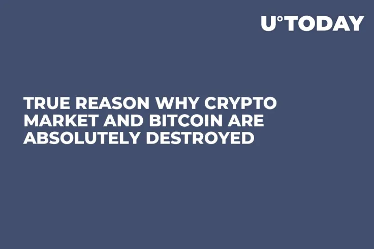 True Reason Why Crypto Market and Bitcoin Are Absolutely Destroyed